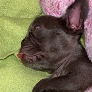 Meet your Posher, Dylan